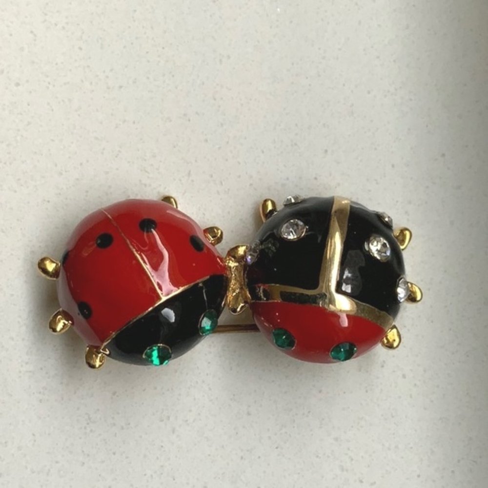 Ladybug pin, New